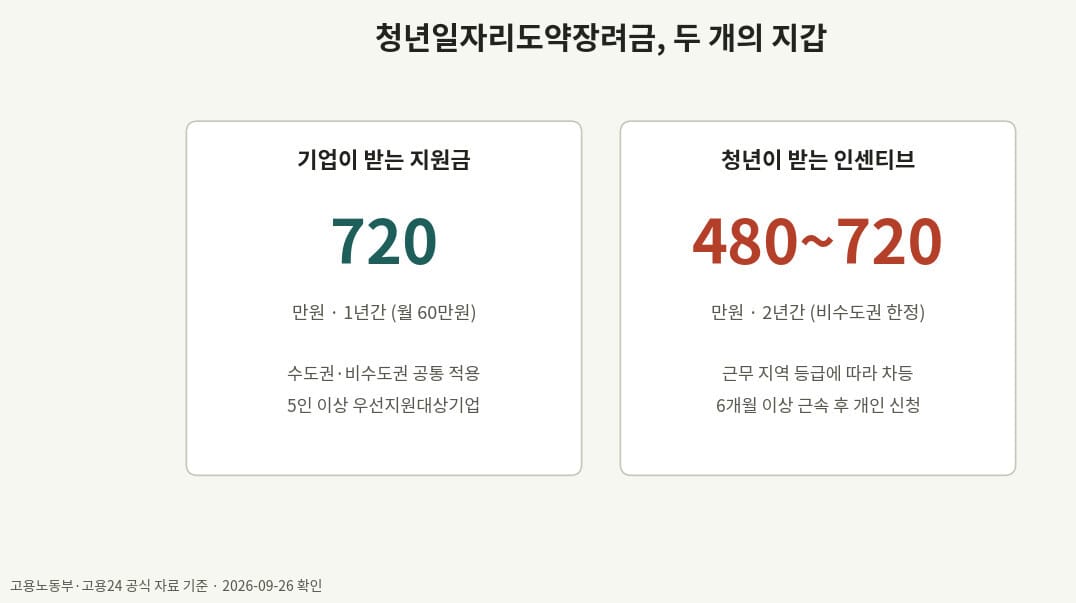 청년일자리도약장려금 기업 지원금과 청년 근속 인센티브 금액 비교 카드