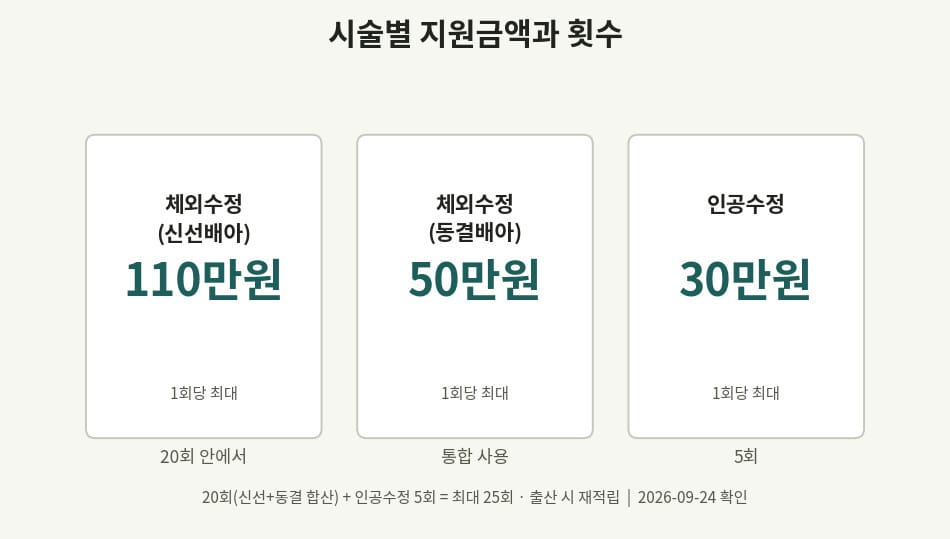 난임부부 시술비 지원기준 중 시술별 지원금액과 횟수를 정리한 카드 이미지